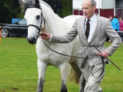 Poppy - Ballymena Show 2011
