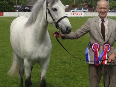 Poppy - Ballymoney Show 2011