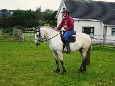 Poppy begins her ridden education 2011