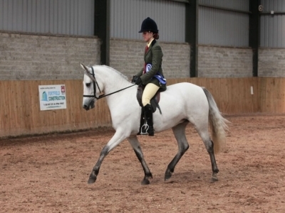Poppy - IPS Summer Show 2012