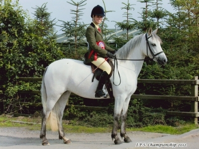 Poppy - IPS Summer Show 2012