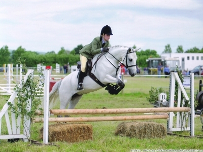 Poppy - Omagh Show 2013