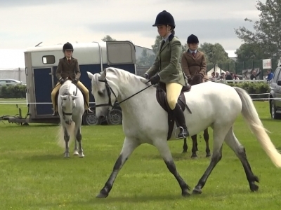 Poppy - Omagh Show Ridden Connemara 2013