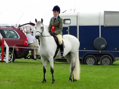 Poppy - Omagh Show Ridden Connemara 2013