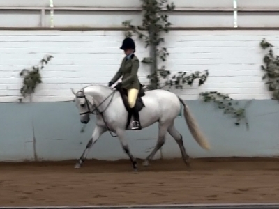Poppy - Greenacres 2013