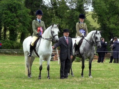 Poppy Clogher Valley Show 2013