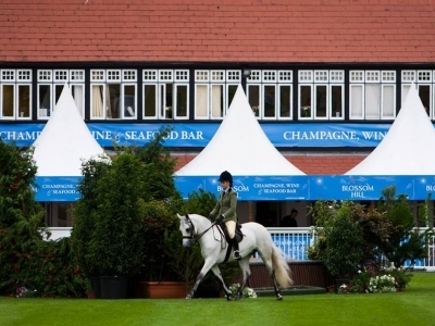 Poppy - Dublin Horse Show 2013 (Photo by Keith Jack)