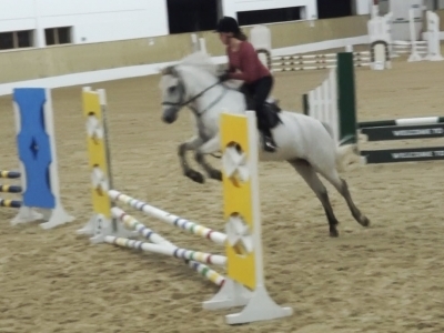 Poppy - RDA Coleraine 2013