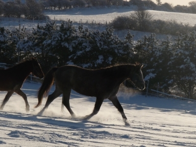 Marty Winter 2010