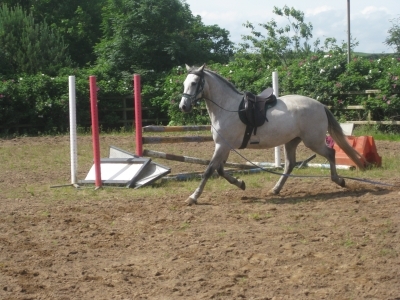 Marty begins his training 2012