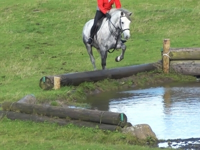 Marty - Schooling at Maddybenny 2013