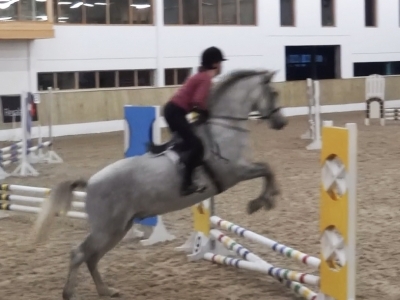 Marty - RDA Coleraine