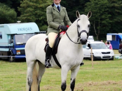 Poppy - Castlewellan Show 2014