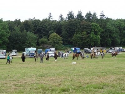 Poppy - Castlewellan Show 2014 M&M Ridden line up