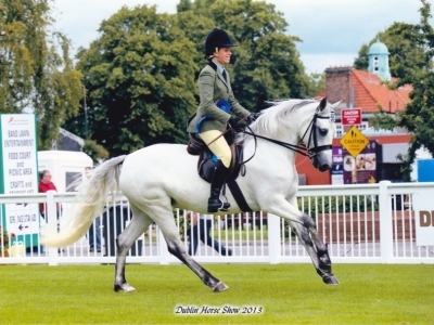 Poppy coming second at Dublin Horse Show 2013
