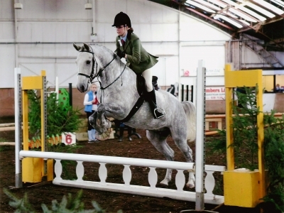 Marty's first working hunter